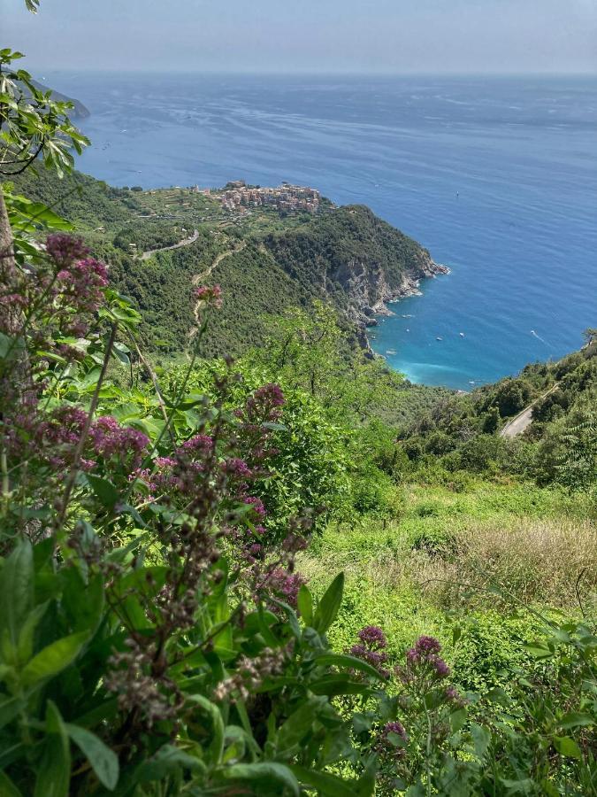 Villa La Casa Rossa Arcola Con Vista Exterior foto